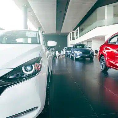 Bekijk hier showroomartikelen zoals onthullingshoezen prijskaarthouders en nog veel meer